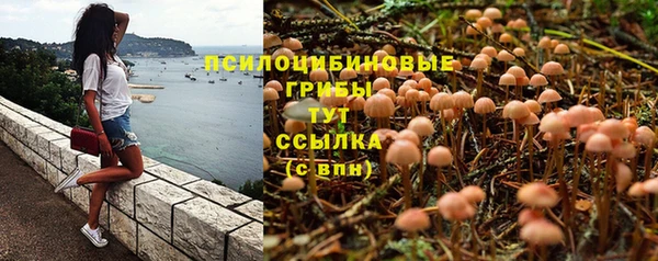 твердый Аркадак