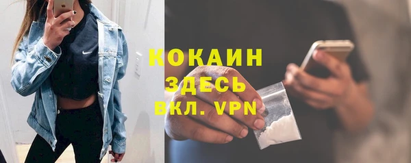 твердый Аркадак